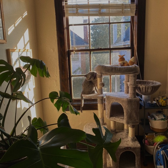 Meet Lilly ☺️🤙👌 - Picture 2 of 5